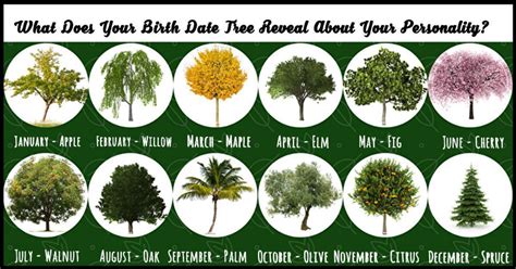 Tree of the month .